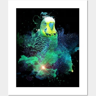 Budgie Budgerigar Parakeet Parrot Space Nebula Posters and Art